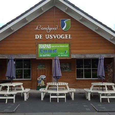 Chalet Lizzy