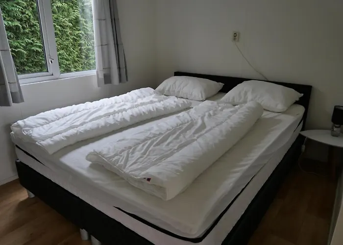 Dağ evi Lizzy Voorthuizen